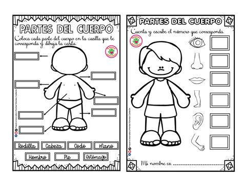 Partes Del Cuerpo Para Colorear