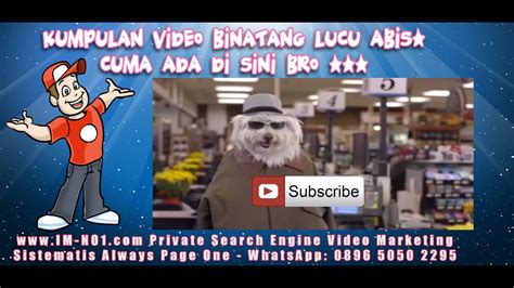 Maybe you would like to learn more about one of these? Video Anjing Lucu Banget Bikin Ngakak, Bikin Stress Hilang ...