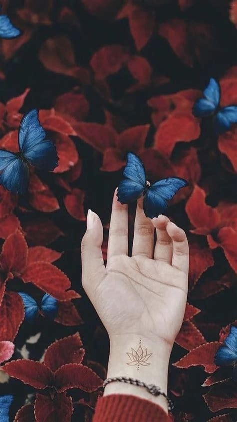 Mariposas Imagenes De Flores Hermosas Para Fondo De Pantalla