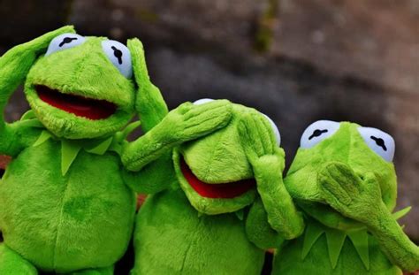 Want to discover art related to kermit_the_frog? The AAP Releases New Screen Policy; Everyone Uses it to ...