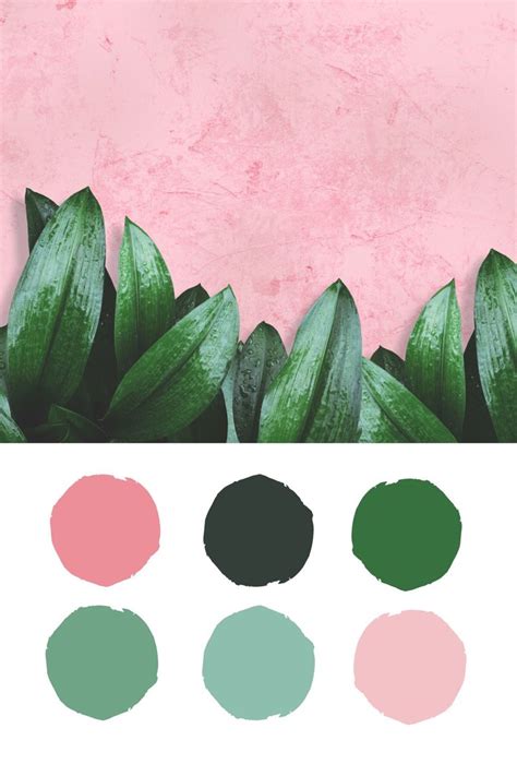 Color Palettes For Home Paleta De Cores Verde Cores De Tinta