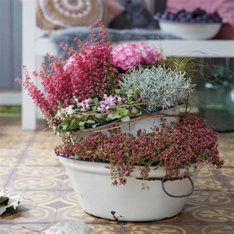 Gratis lieferung ab 55 €. Blumen Fur Balkon Im Herbst - My Flowers