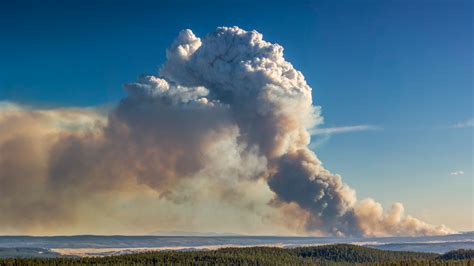 Flammagenitus Clouds Pyrocumulus Formation Whatsthiscloud