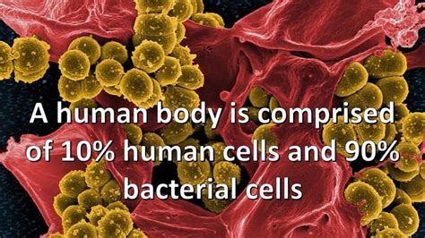 12 Astonishing Facts About The Human Body