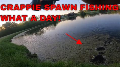 Wow Crazy Day Of Fishing Crappie Spawn Fishing 2022 Youtube
