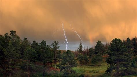Thunder Storm Over The Forest Wallpaper Nature And Landscape