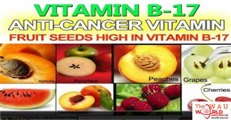 Natures Cancer Prevention Vitamin B17‏
