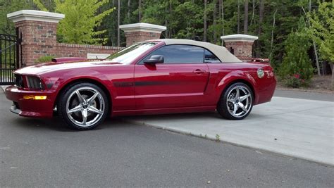 2008 Ford Mustang Pictures Cargurus