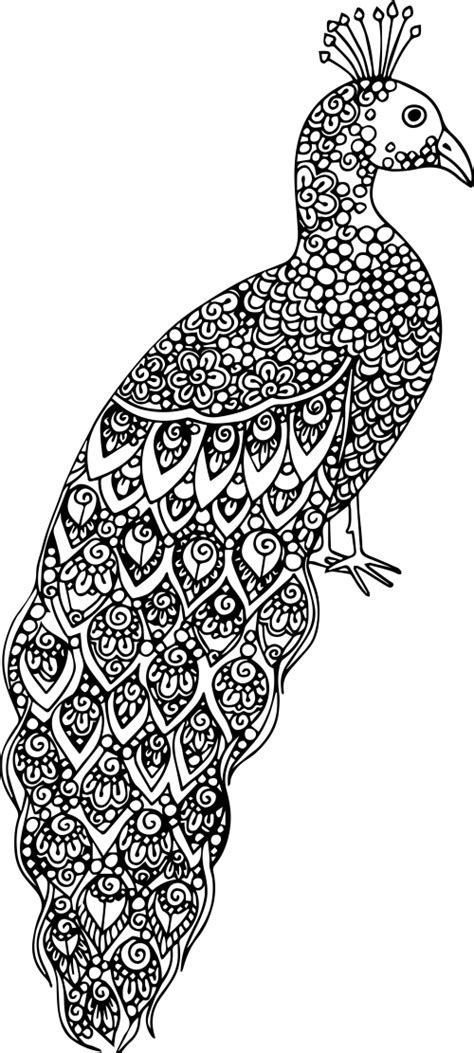 Complex Coloring Pages Animals Jorgeeclandry