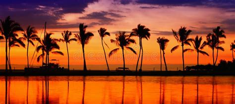Travel Banner Beach Paradise Sunset Palm Trees Stock Photo Image Of