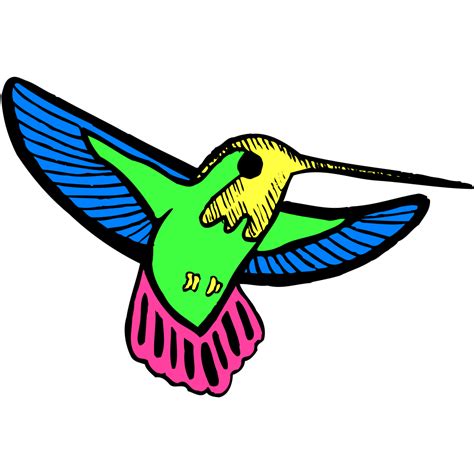 Multicolored Hummingbird Png Svg Clip Art For Web Download Clip Art