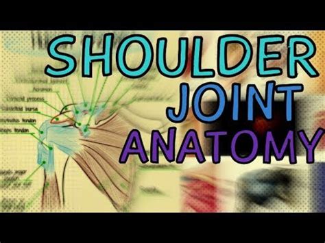 Check spelling or type a new query. Shoulder Joint Anatomy and Function - Glenohumeral Joint ...