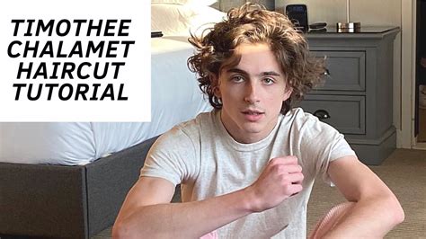 Timothee Chalamet Haircut Tutorial Thesalonguy Ny Beauty Review