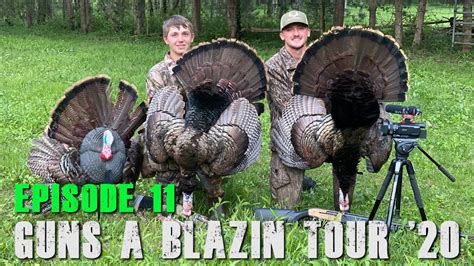 Gobblers At Yards Youtube