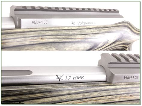Volquartsen 17 In 17 Hmr Stainless Fluted Hb