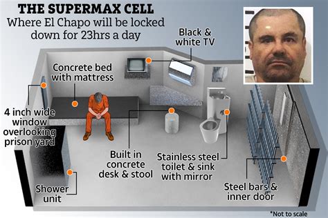 inside el chapo s cell reinforced cage with concrete slab bed that ex cons call high tech hell