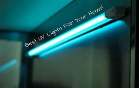 Best Uv Lights For Your Home Best Reviews