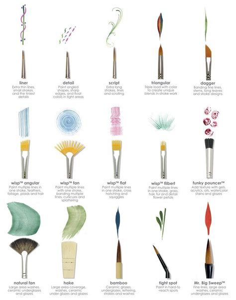 Types Of Royal Brushes In The Head Art Art Painting Tools