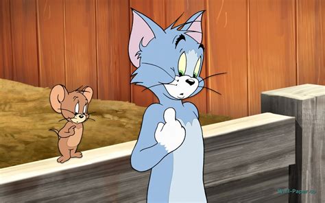 You can also upload and share your favorite tom and jerry wallpapers. Wallpaper - Tom e Jerry | Fatality Design