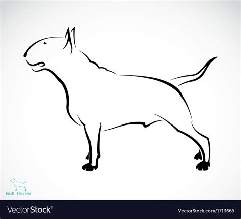 Bull Terrier Royalty Free Vector Image Vectorstock