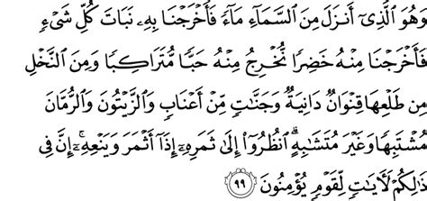 Surah 6 al an'aam ayat 103 by nouman ali khan. MENCARI JALAN PULANG: KLOROFIL DAN PROSES FOTOSINTESIS ...