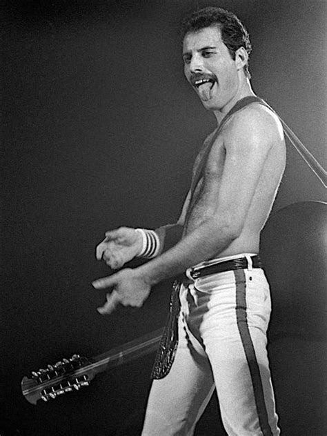 Freddie Freddie Mercury Photo 32486982 Fanpop