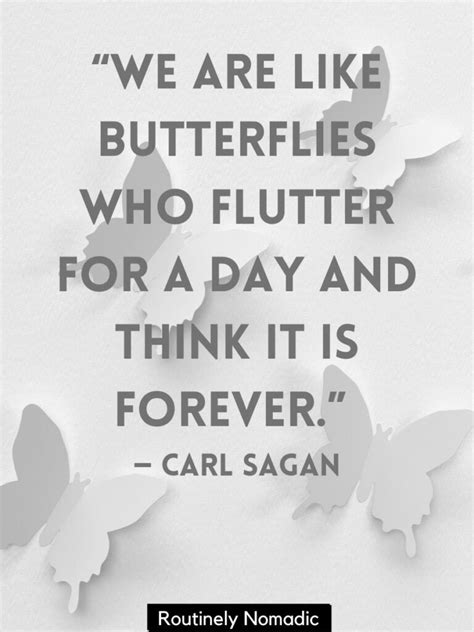 Butterfly Quotes 215 Perfect Butterfly Sayings For 2023 Routinely