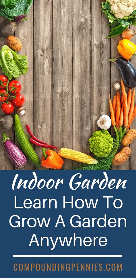 Complete Guide To Indoor Gardening For Beginners Gardening For