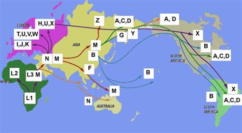 Dna Facts For Genealogy Researchers A Laymans Qanda Session