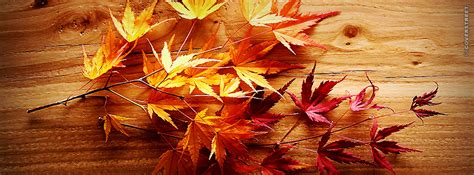 Fall Leaves Colorful Facebook Cover