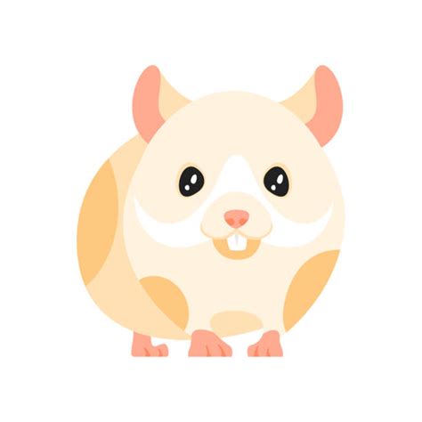 Funny Of Hamsters Background Illustrations Royalty Free Vector
