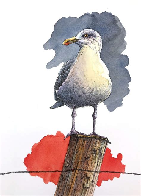 Pen And Watercolor Wash Seagull