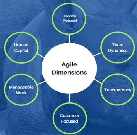 Building An Agile Assessment Tool