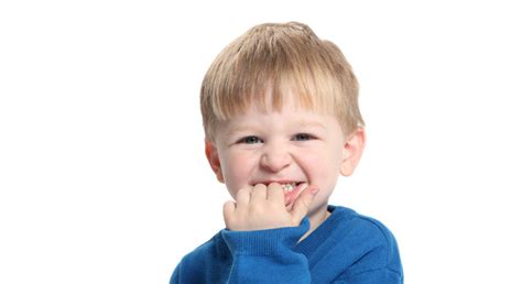 Chew On This Strategies For Responding To Your Childs Biting Jcc