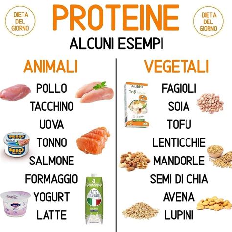 Ecco Alcuni Esempi Di Proteine Animali E Vegetali