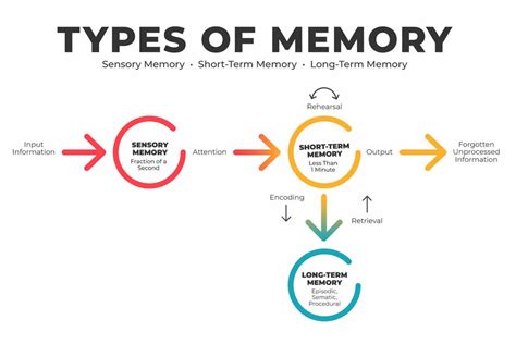 Making Memories Within The Brain