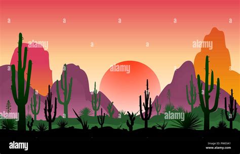 Sunset In A Stony Desert With Cacti Silhouettes Of Stones Cacti And