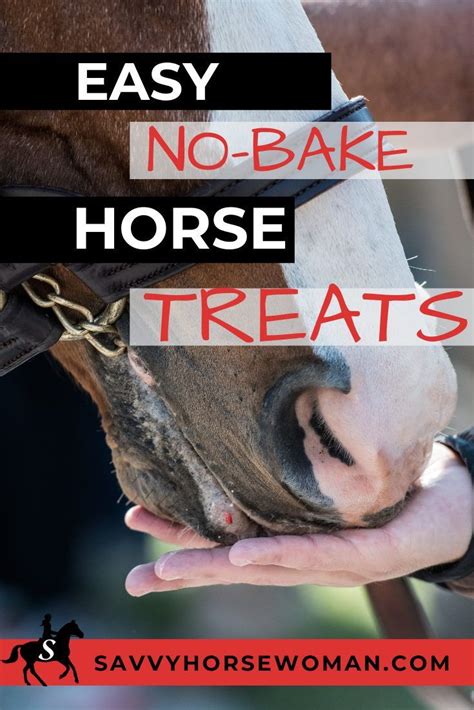 Easy No Bake Horse Treats Savvy Horsewoman Recipe Horse Treats