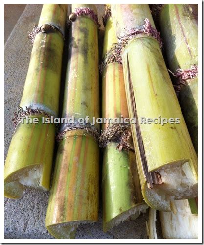 Sugar Cane Jamaican Cookery