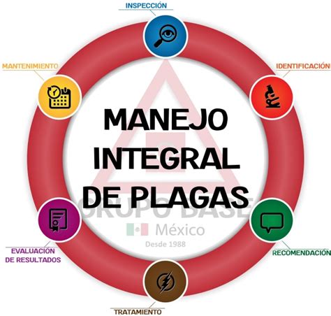 Agroacademicosmy Manejo Integrado De Plagas The Best Porn Website