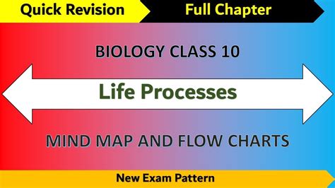 Mind Map And Flow Chart Grade Life Processes Biology Chapter