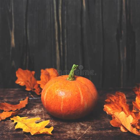 Autumn Fall Background With Pumpkins And Golden Leaves On Rust Stock