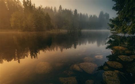 Nature Landscape River Calm Water Mist Forest Sunrise Finland