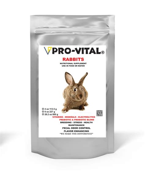 Is It Necessary To Give Natural Supplements For Rabbit Animal Lova