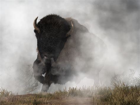 Cash app may charge a fee when you buy or sell bitcoin. Boerse Stuttgart's Bison Trading App to Add Bitcoin Cash ...