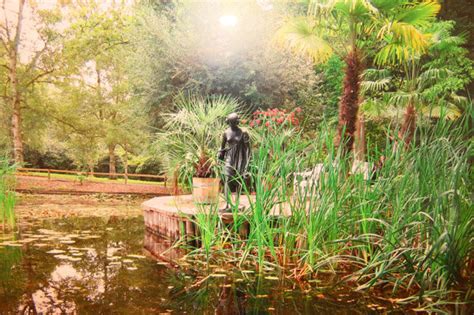 Check spelling or type a new query. Botanischer Garten | documenta-Stadt Kassel