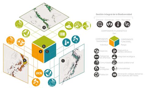 Cuáles son los tres atributos de la biodiversidad Descubre los 3