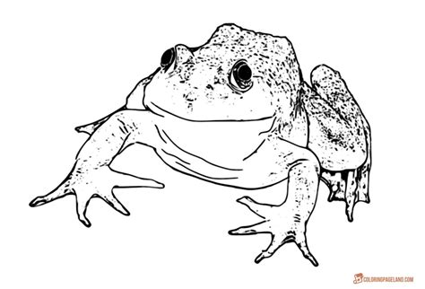 Free frog coloring page printable. Frogs Coloring Pages - Downloadable and Printable Collection
