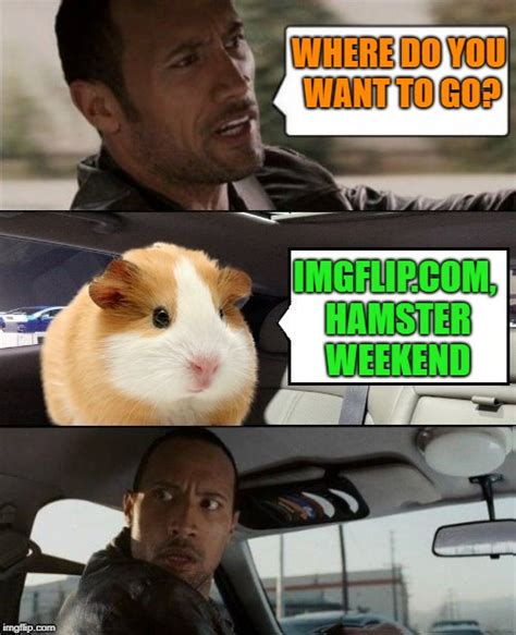 But You Are Already Herehamster Weekend July 6 8 A Bachmemeguy2
