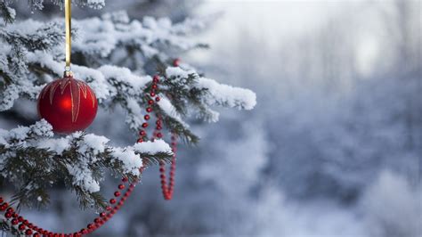 Hintergrundbilder Himmel Schnee Winter Ast Frost Weihnachtsbaum